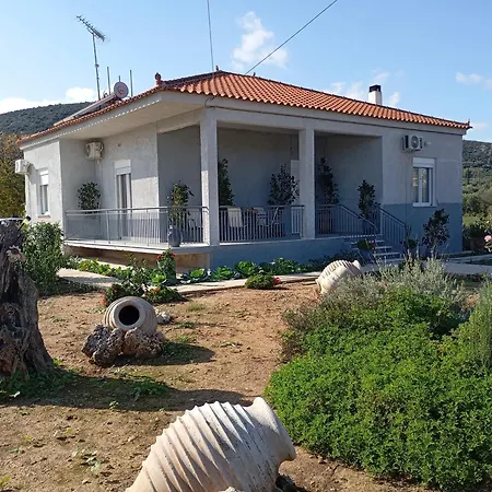 Classic نافبليو