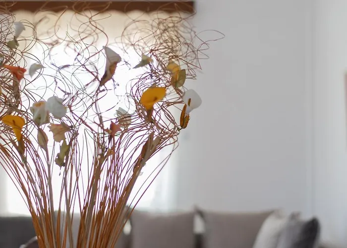 Classic * نافبليو